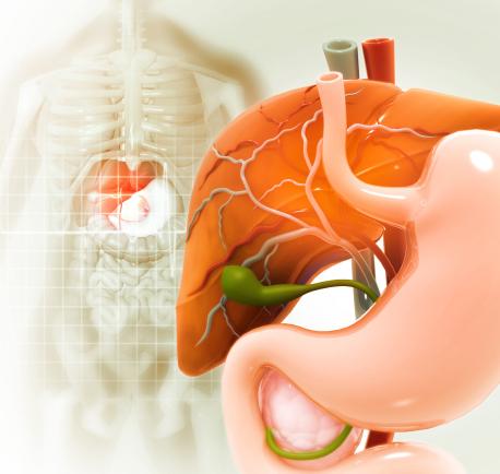 gallbladder