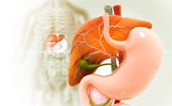 gallbladder