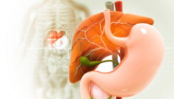 gallbladder