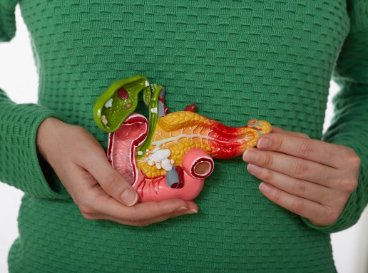 digestive system